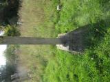image of grave number 528312
